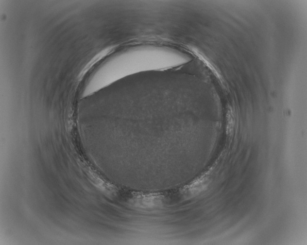 X0000081311213200701251734