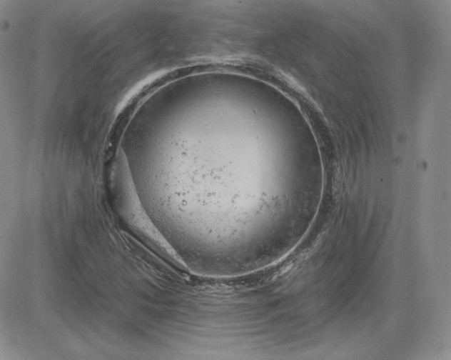 X0000081311214200701251734