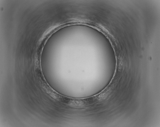 X0000081311215200701251734