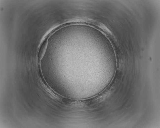 X0000081311216200701251734