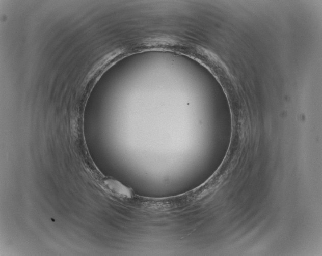 X0000081311217200701251734