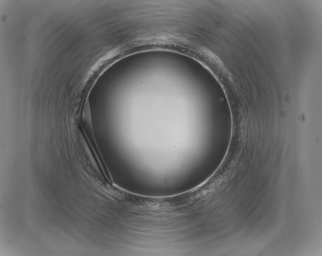 X0000081311218200701251734