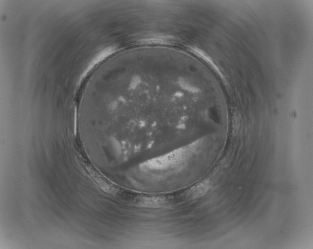 X0000081311219200701251734