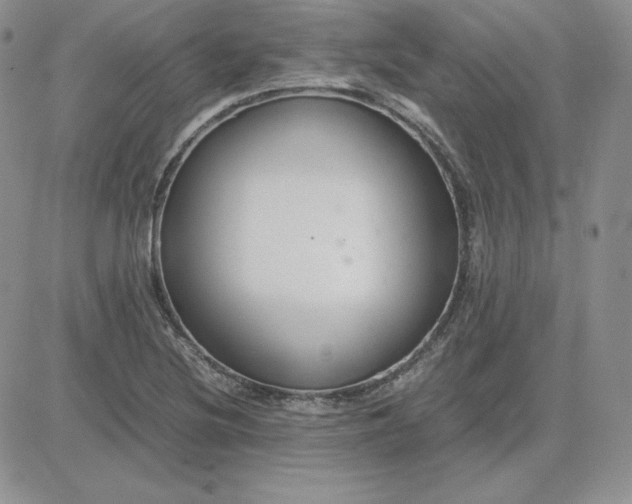 X0000081311220200701251734