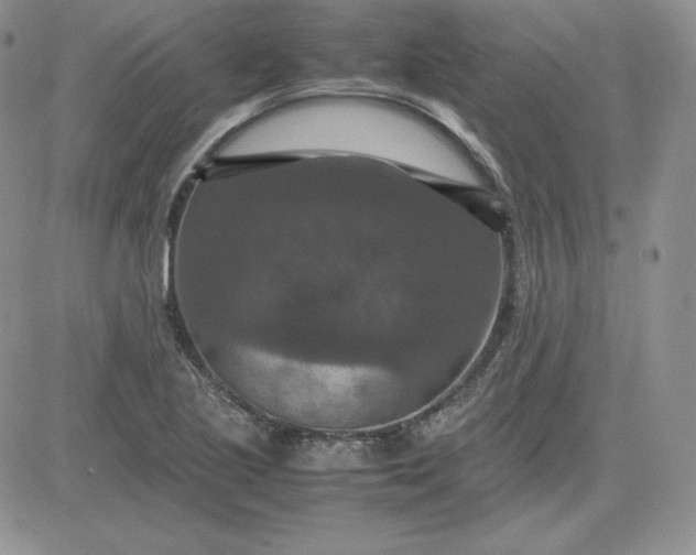 X0000081311221200701251734