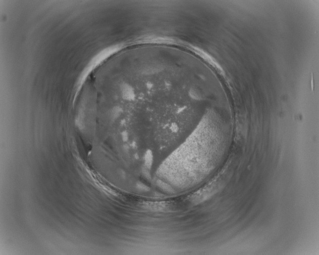 X0000081311223200701251735