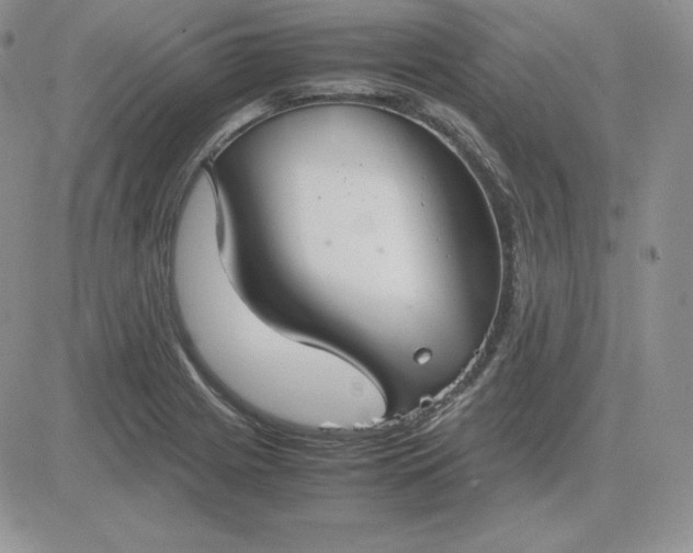 X0000081311225200701251735