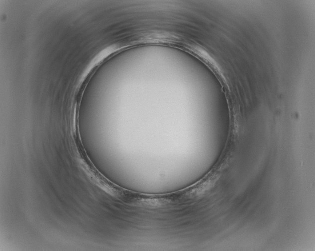 X0000081311227200701251735