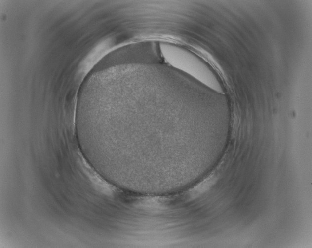 X0000081311228200701251735