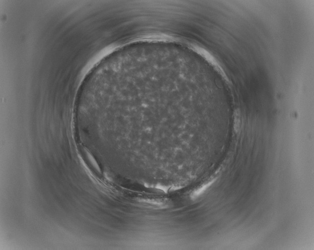 X0000081311229200701251735