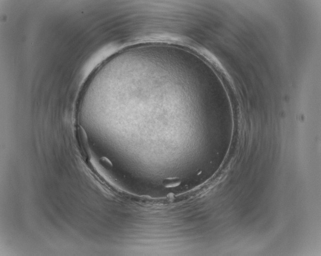 X0000081311230200701251735