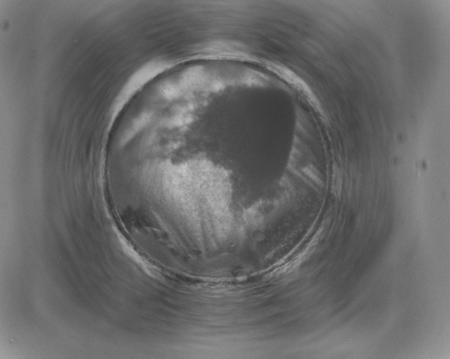 X0000081311231200701251735