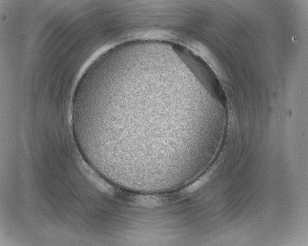 X0000081311232200701251735