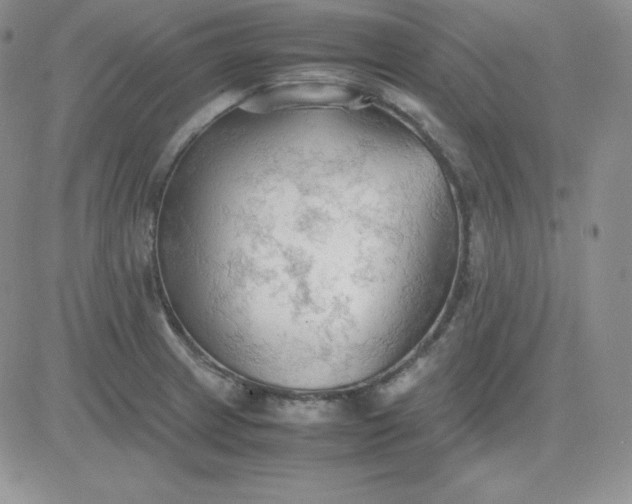 X0000081311233200701251735