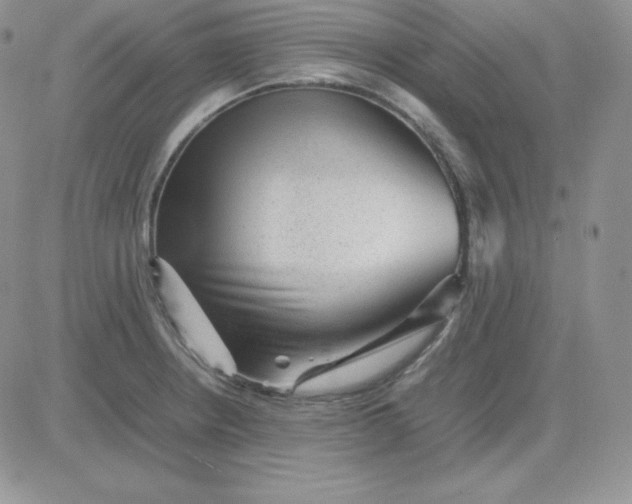 X0000081311234200701251735