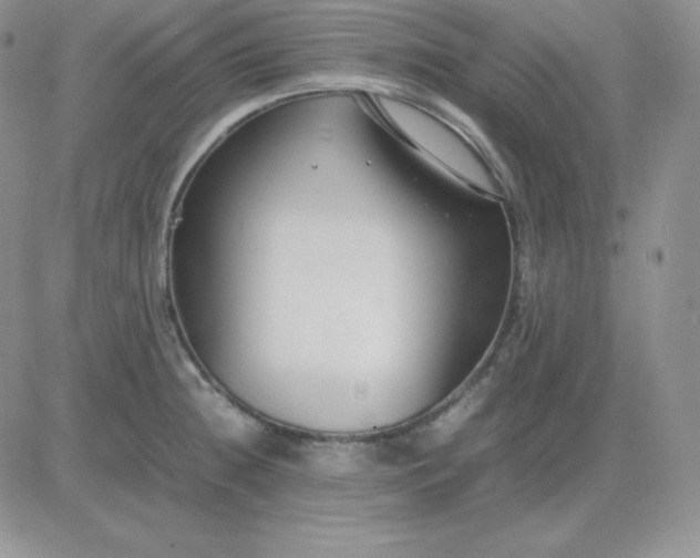 X0000081311236200701251735