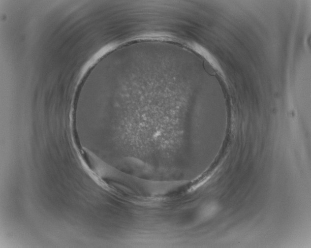 X0000081311237200701251735