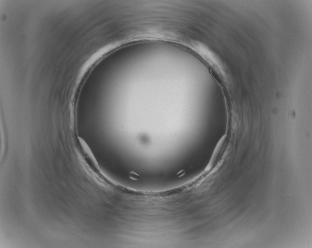 X0000081311238200701251735