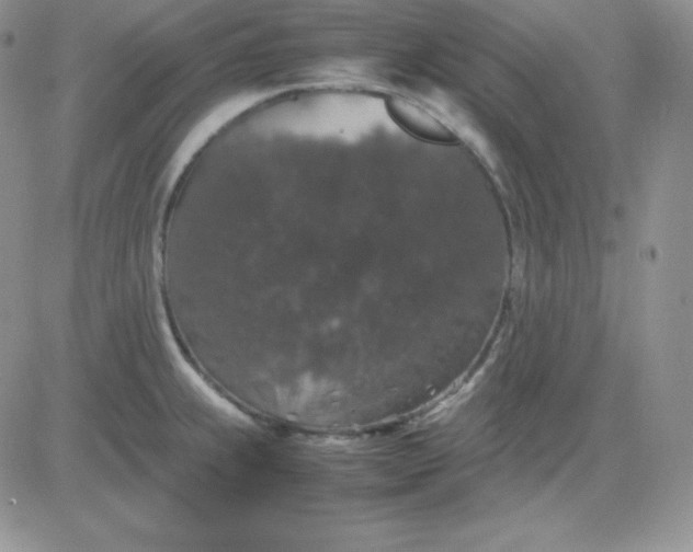 X0000081311239200701251735