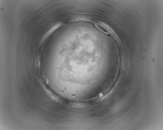 X0000081311241200701251735