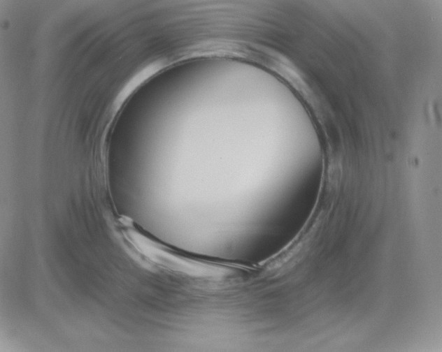 X0000081311242200701251735