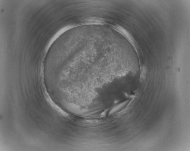 X0000081311243200701251735