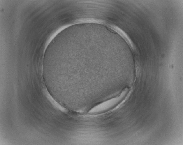 X0000081311244200701251735