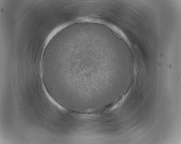 X0000081311247200701251735