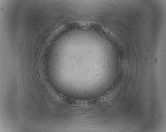 X0000081311249200701251734