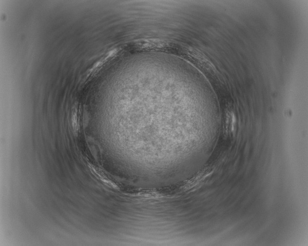 X0000081311250200701251734