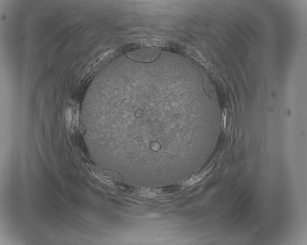 X0000081311251200701251734