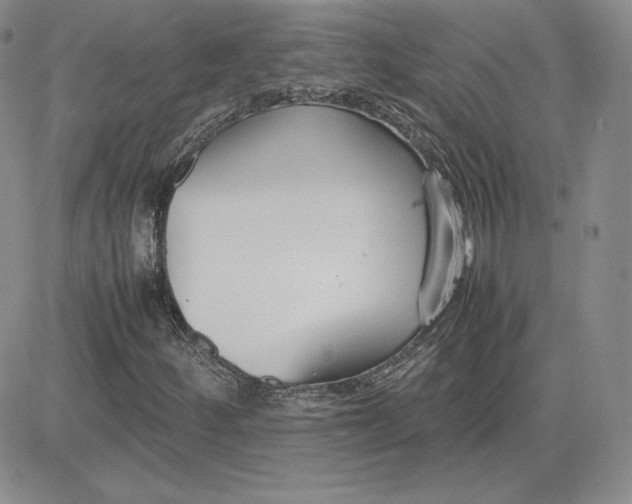 X0000081311252200701251734