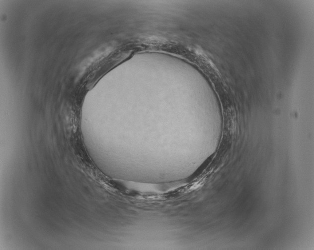 X0000081311253200701251734