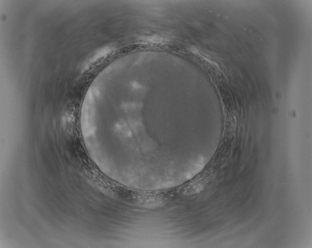 X0000081311254200701251734