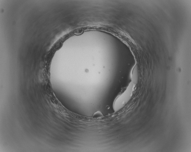 X0000081311256200701251734