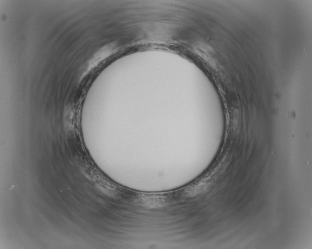 X0000081311258200701251734