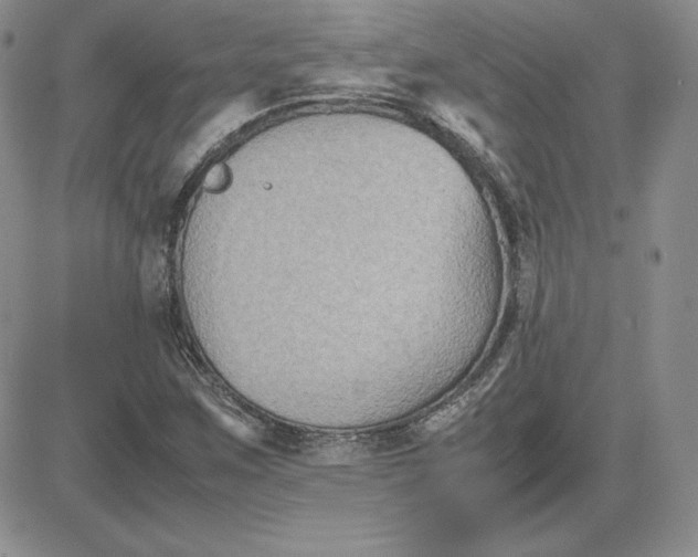 X0000081311259200701251734