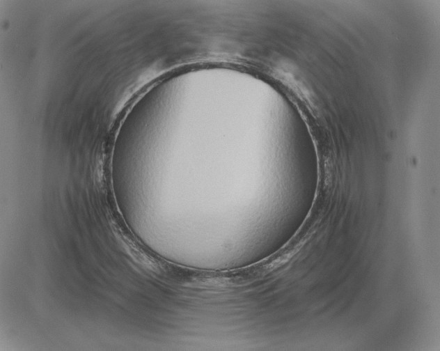 X0000081311260200701251734