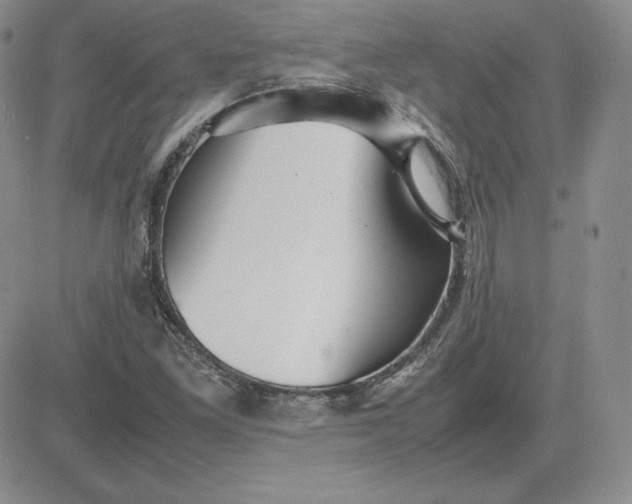 X0000081311261200701251734