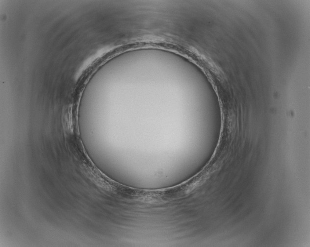 X0000081311262200701251734