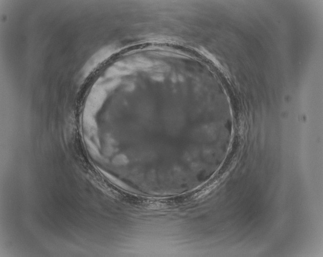 X0000081311263200701251734