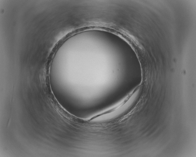 X0000081311264200701251734