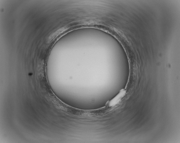 X0000081311265200701251734