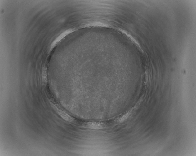 X0000081311266200701251734