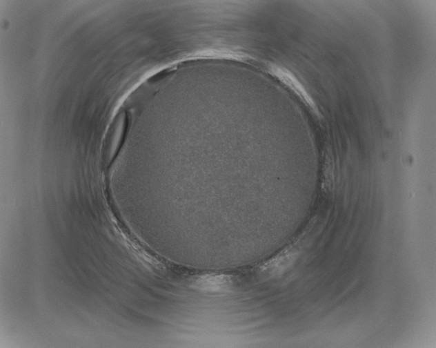 X0000081311268200701251734