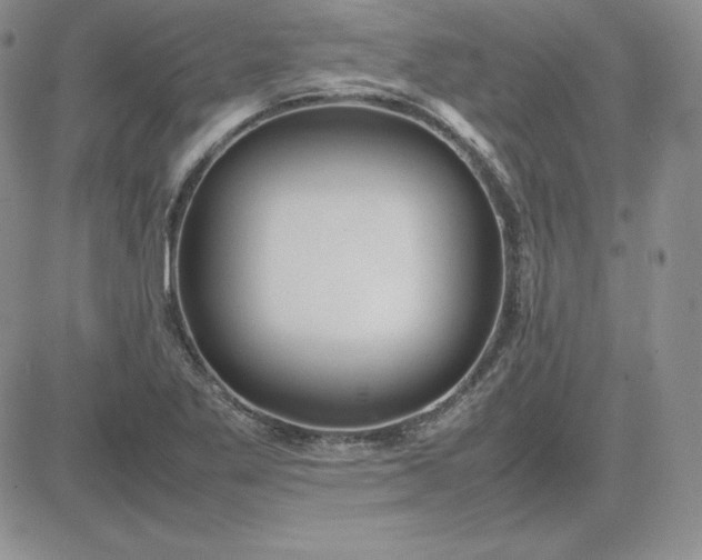 X0000081311269200701251734