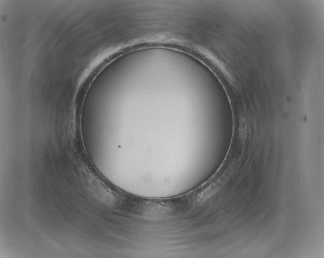 X0000081311270200701251734