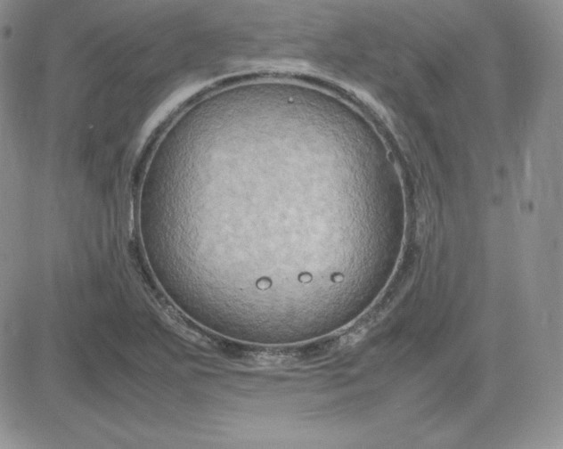 X0000081311271200701251734