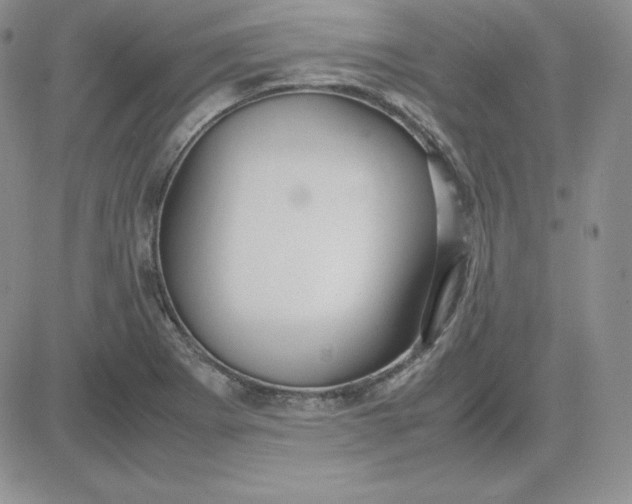 X0000081311273200701251734