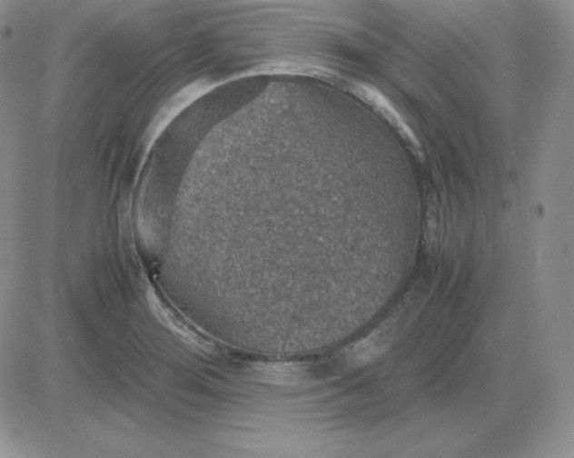 X0000081311276200701251734